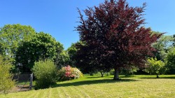 Images for Sheepwash, Beaworthy