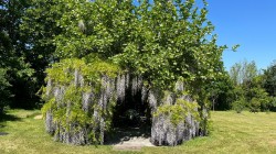 Images for Sheepwash, Beaworthy