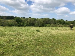 Images for Sheepwash, Beaworthy