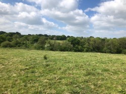 Images for Sheepwash, Beaworthy