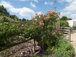 Images for Musbury Lane, Marnhull, Sturminster Newton