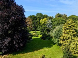 Images for Clyst Hydon