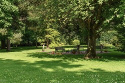 Images for Clyst Hydon