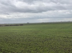 Images for Lower Road, Wicken, Ely