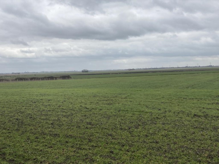 Images for Lower Road, Wicken, Ely