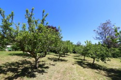 Images for St. Dominick, Saltash