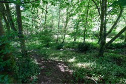 Images for St. Dominick, Saltash