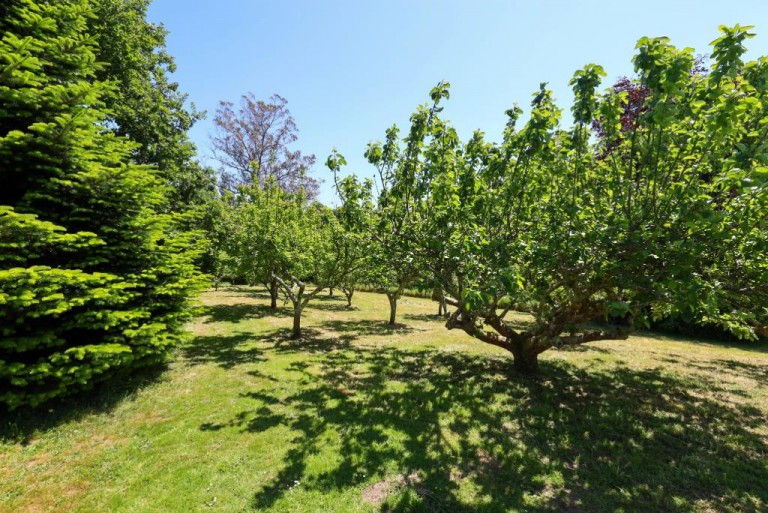 Images for St. Dominick, Saltash