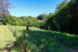 Images for St. Dominick, Saltash