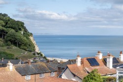 Images for Higher Meadows, Beer, Seaton