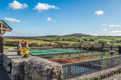 Images for Laity Lane, St. Ives