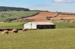 Images for Tolland, Lydeard St. Lawrence, Taunton