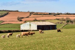 Images for Tolland, Lydeard St. Lawrence, Taunton