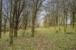 Images for Spreyton, Crediton