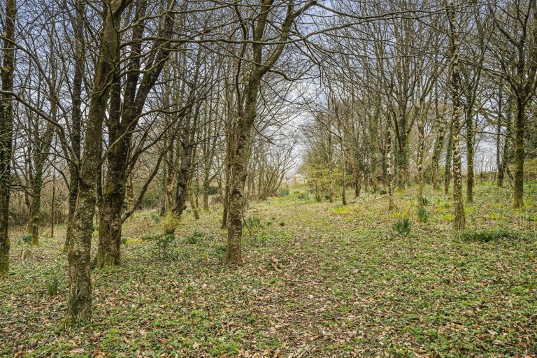 Images for Spreyton, Crediton