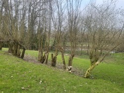 Images for Land at Coly Road, Colyford, Colyton