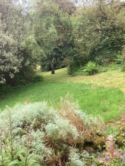 Images for Lamorna, Penzance