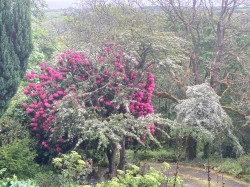Images for Lamorna, Penzance