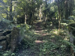 Images for Lamorna, Penzance