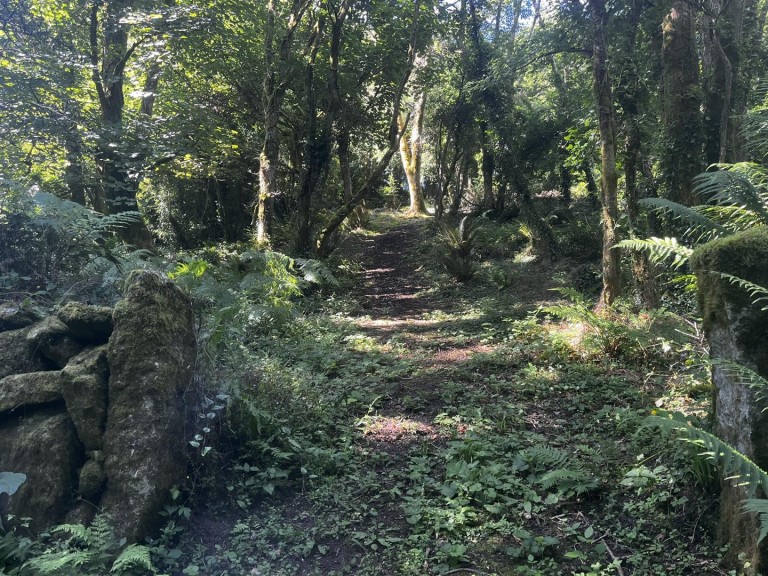 Images for Lamorna, Penzance