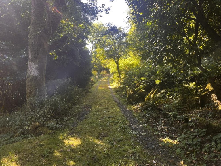 Images for Lamorna, Penzance