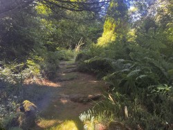 Images for Lamorna, Penzance