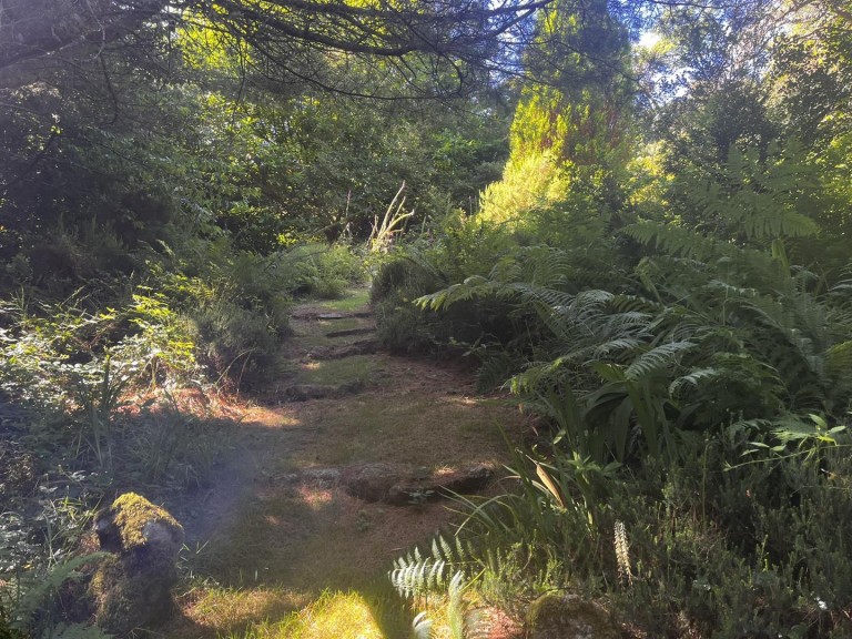 Images for Lamorna, Penzance