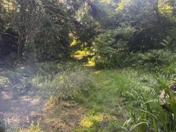 Images for Lamorna, Penzance