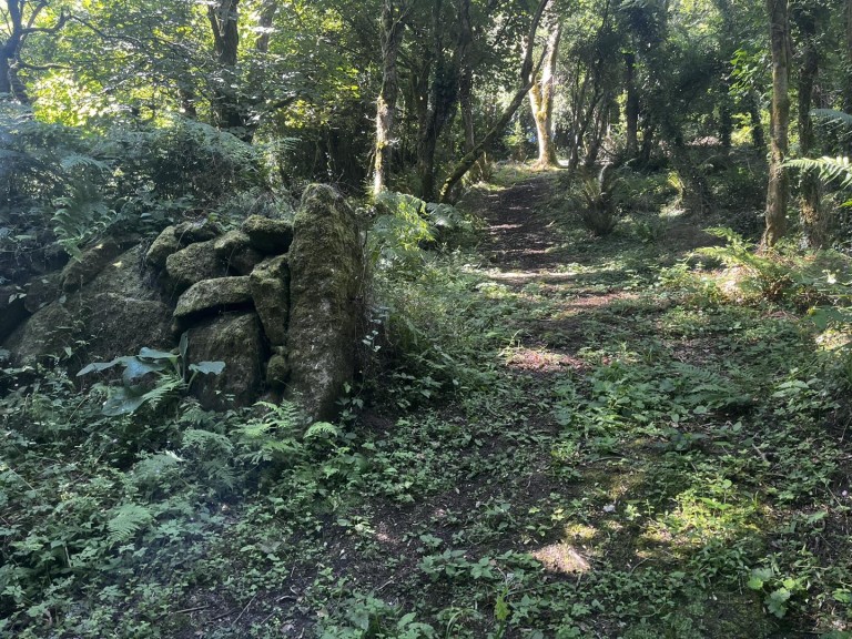 Images for Lamorna, Penzance
