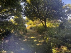 Images for Lamorna, Penzance