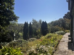 Images for Lamorna, Penzance