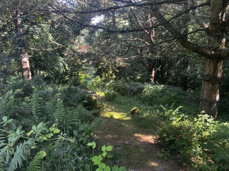 Images for Lamorna, Penzance