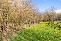 Images for Foxcombe Lane, Horsington, Templecombe