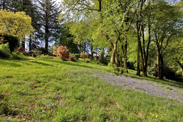 Images for Dousland, Dartmoor National Park