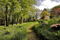 Images for Dousland, Dartmoor National Park