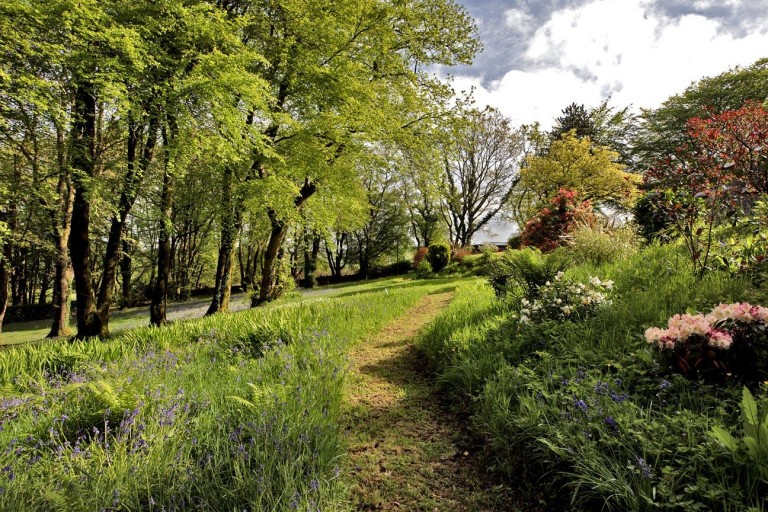 Images for Dousland, Dartmoor National Park