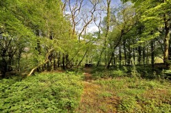 Images for Dousland, Dartmoor National Park