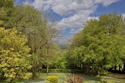 Images for Dousland, Dartmoor National Park