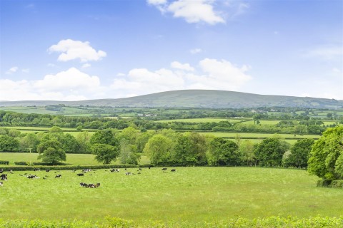 Click the photo for more details of Spreyton, Crediton