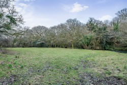 Images for Bere Peninsula, West Devon
