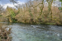 Images for Bere Peninsula, West Devon