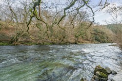 Images for Bere Peninsula, West Devon