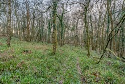 Images for Bere Peninsula, West Devon