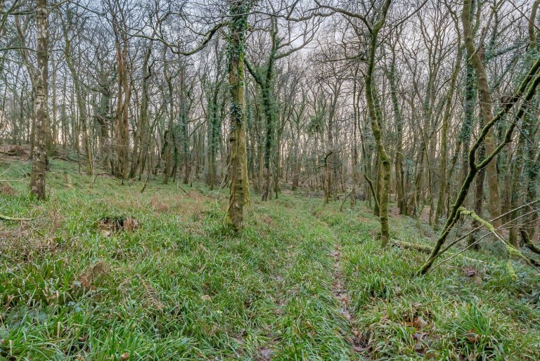 Images for Bere Peninsula, West Devon