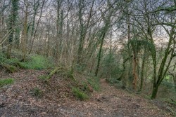 Images for Bere Peninsula, West Devon