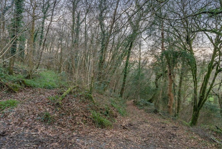 Images for Bere Peninsula, West Devon