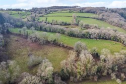 Images for Bere Peninsula, West Devon