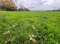 Images for Churchmoor Lane, Baltonsborough