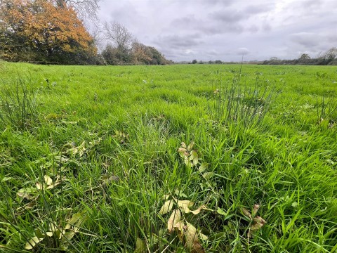 Click the photo for more details of Churchmoor Lane, Baltonsborough