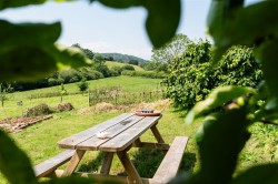 Images for Thorverton, Exeter